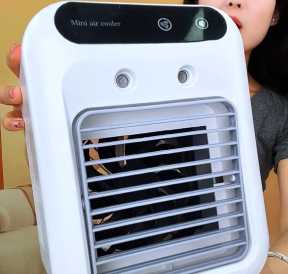 Mini Cooler